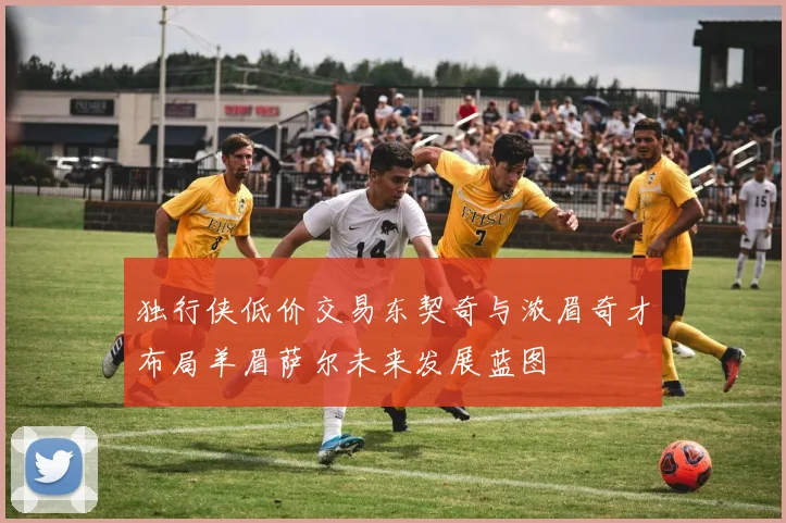 独行侠低价交易东契奇与浓眉奇才布局羊眉萨尔未来发展蓝图