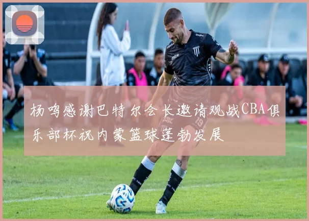 杨鸣感谢巴特尔会长邀请观战CBA俱乐部杯祝内蒙篮球蓬勃发展