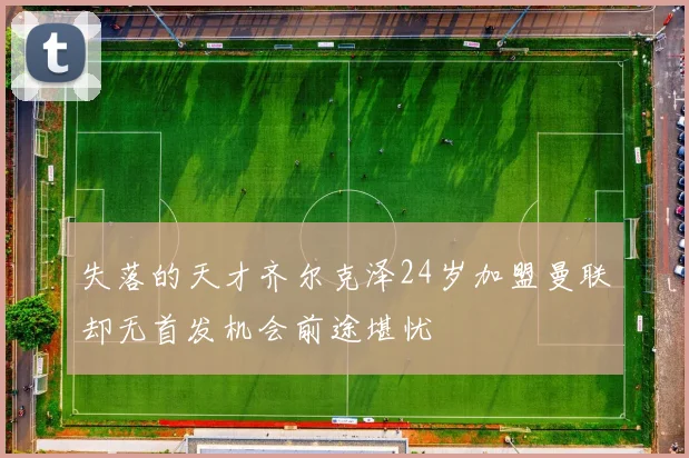 失落的天才齐尔克泽24岁加盟曼联却无首发机会前途堪忧