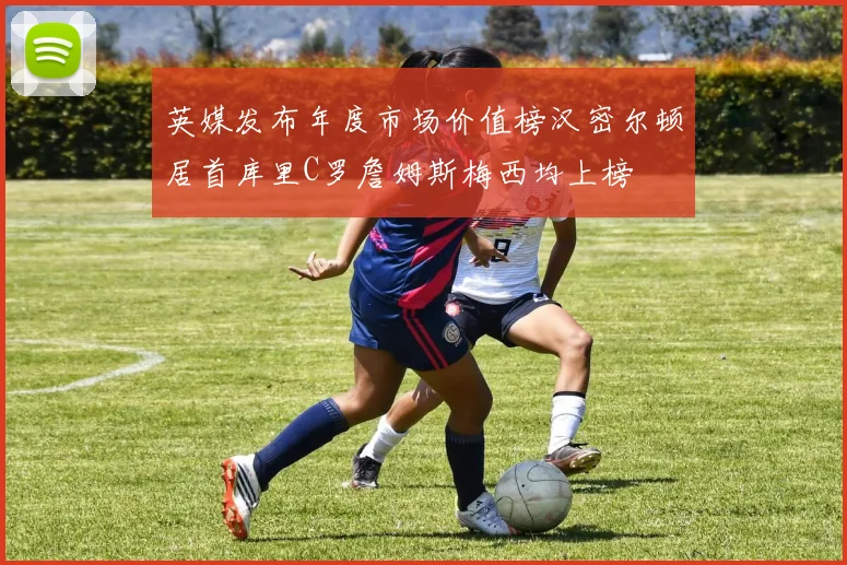 英媒发布年度市场价值榜汉密尔顿居首库里C罗詹姆斯梅西均上榜