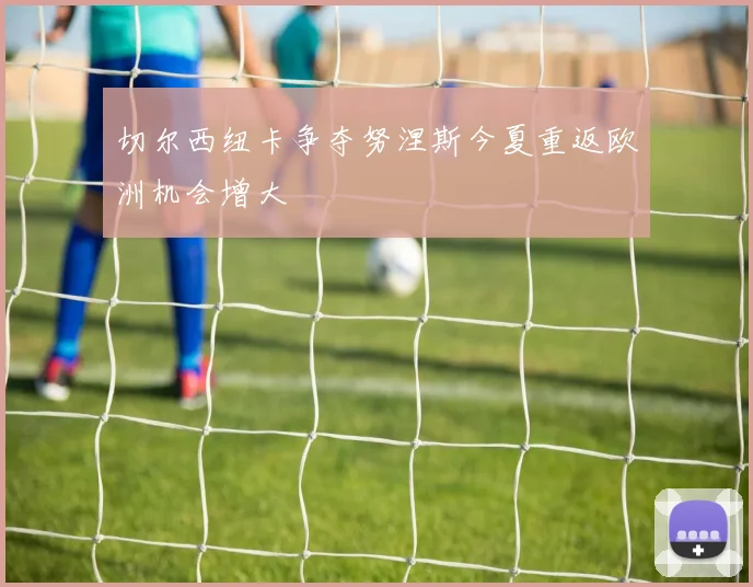 切尔西纽卡争夺努涅斯今夏重返欧洲机会增大